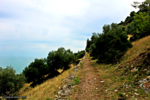 Apulia Monte Saraceno Gargano trasa