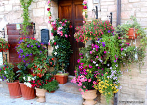 drzwi ozdobione kwiatami
